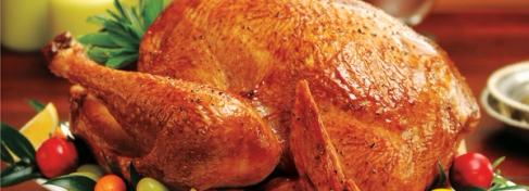 Roasted Garlic and Herb Turkey