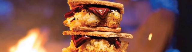 Gooey Butter Cake S’Mores