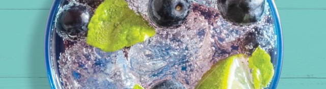 Blueberry Moscow Mule