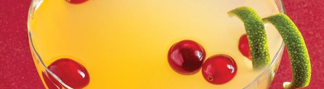 Mrs. Claus Winter Cosmo