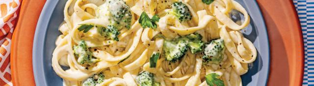 Cottage Cheese Alfredo Pasta