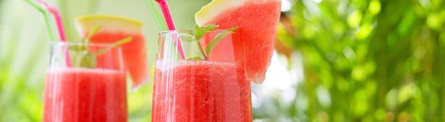 Watermelon-Gin Slush