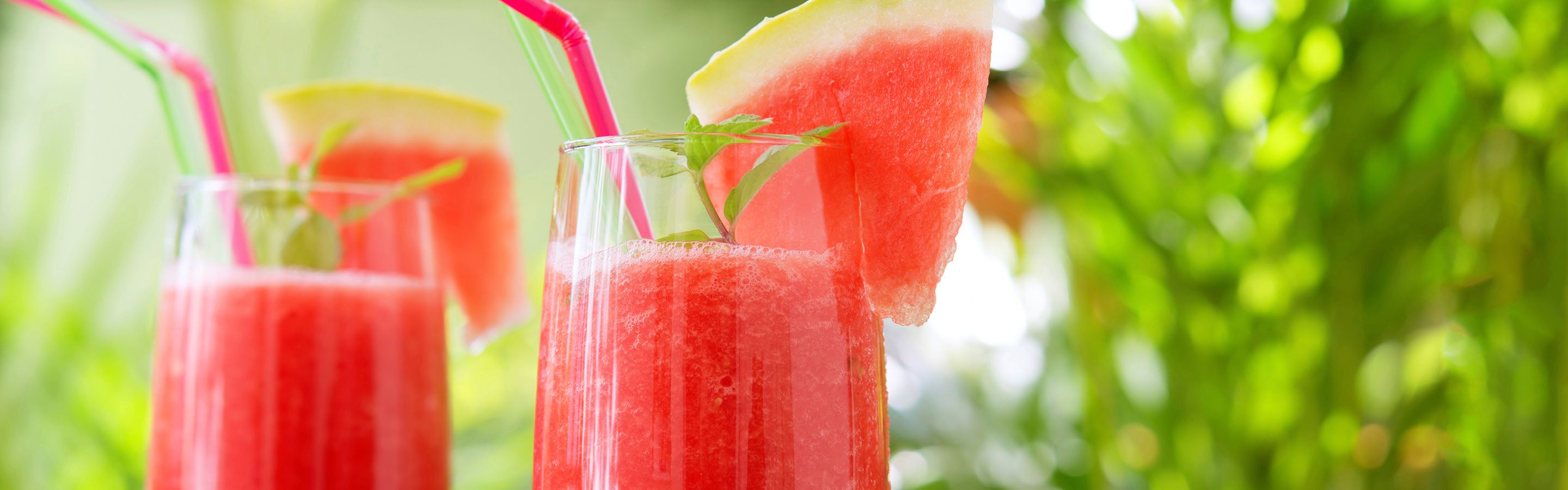 Watermelon-Gin Slush