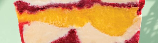 Raspberry Mango Terrine