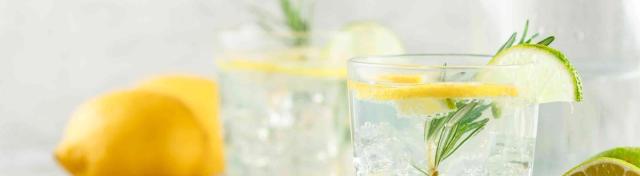 Schnucks Gin & Tonic