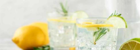 Schnucks Gin & Tonic