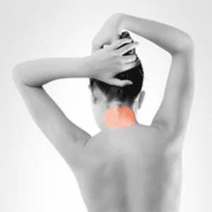 Back Of Neck/Neckline