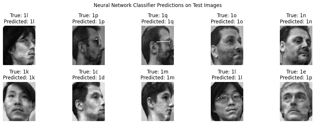 Plots the predicted and true labels of 10 individuals.