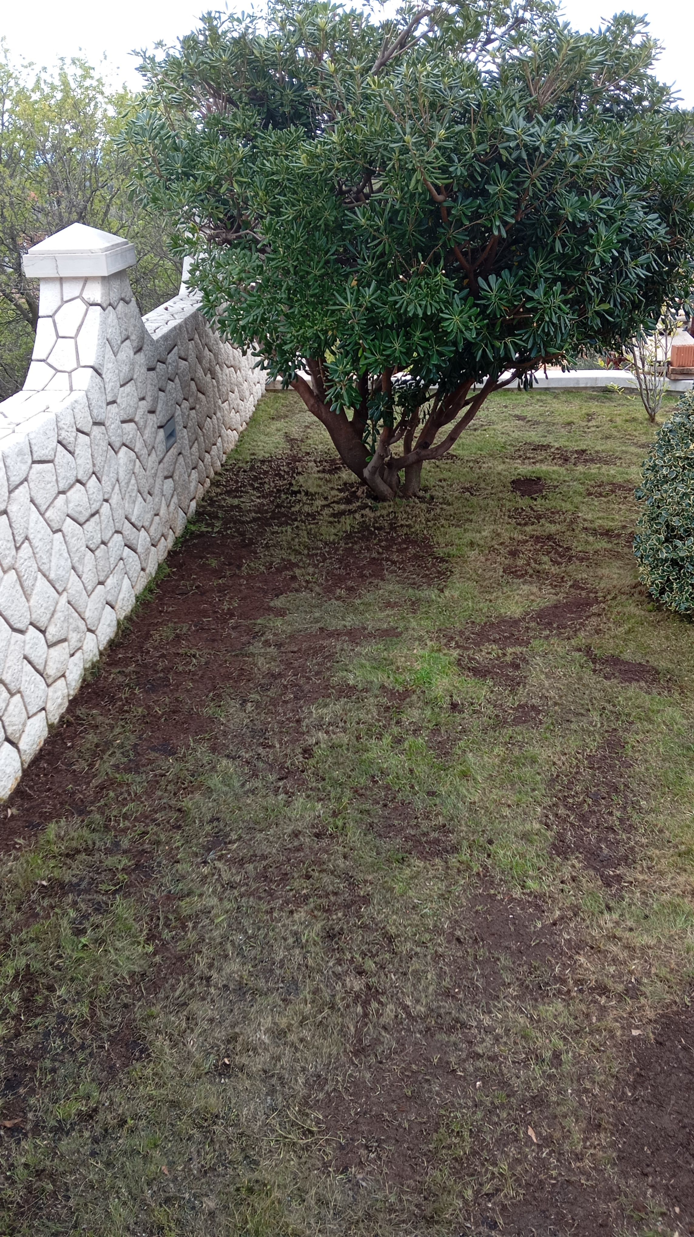 Proces košnje trave