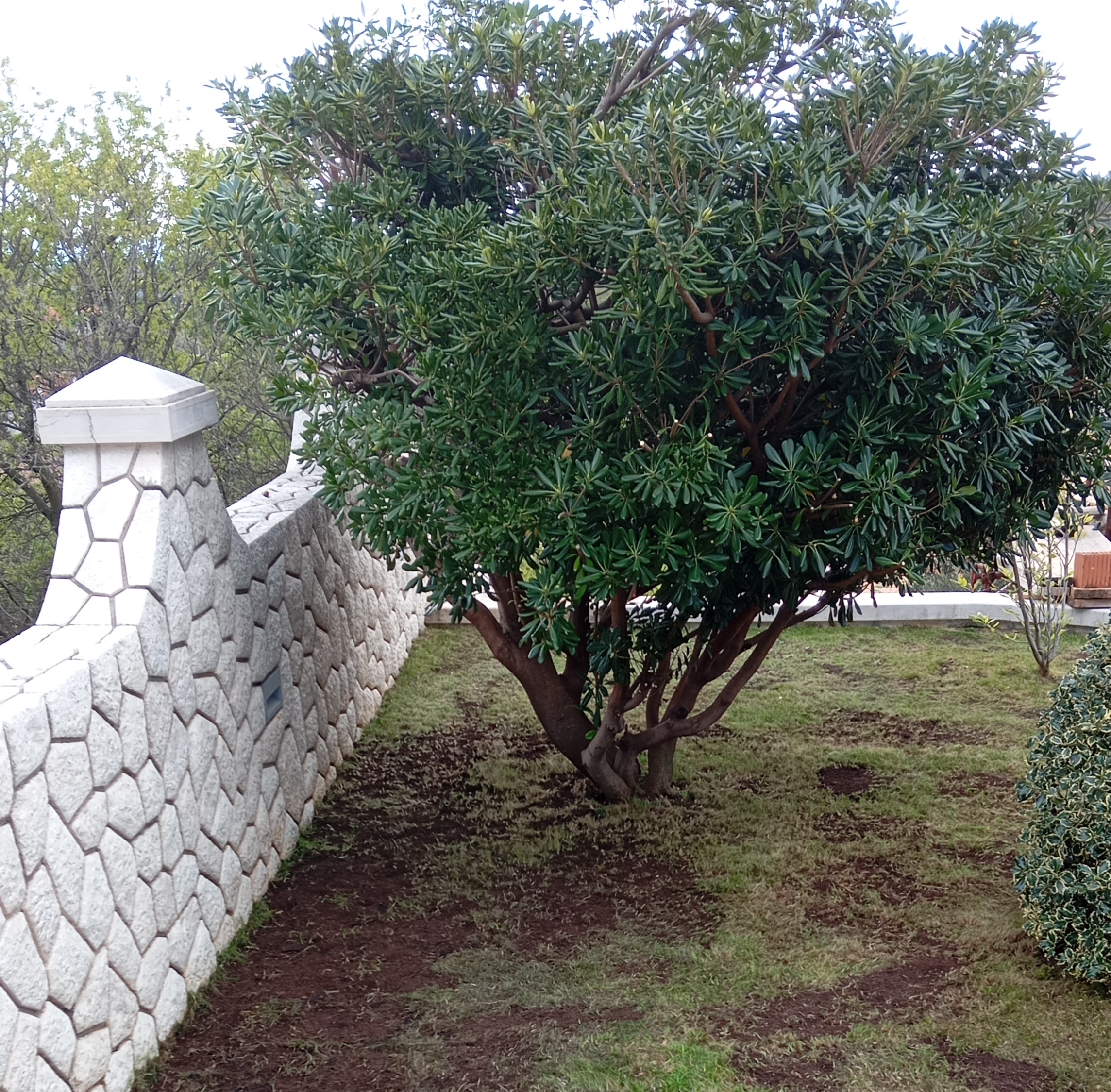 Proces košnje trave