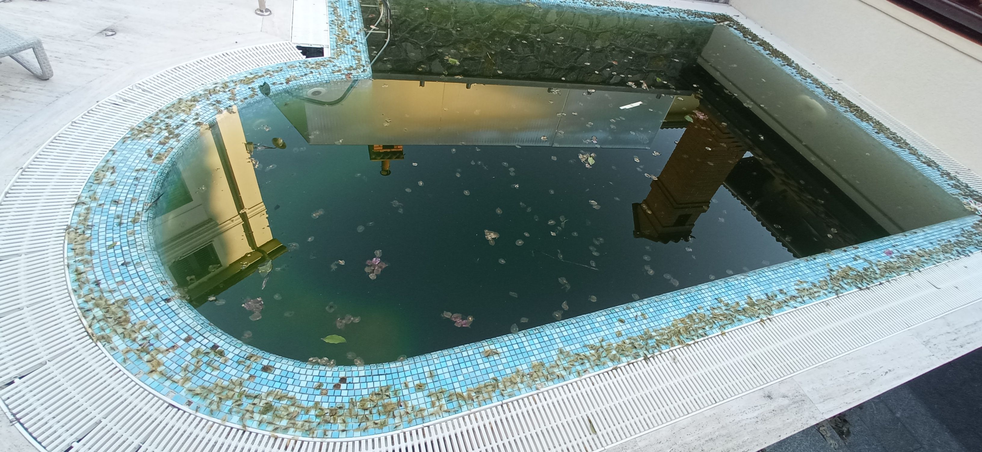 Prljav bazen prije čišćenja