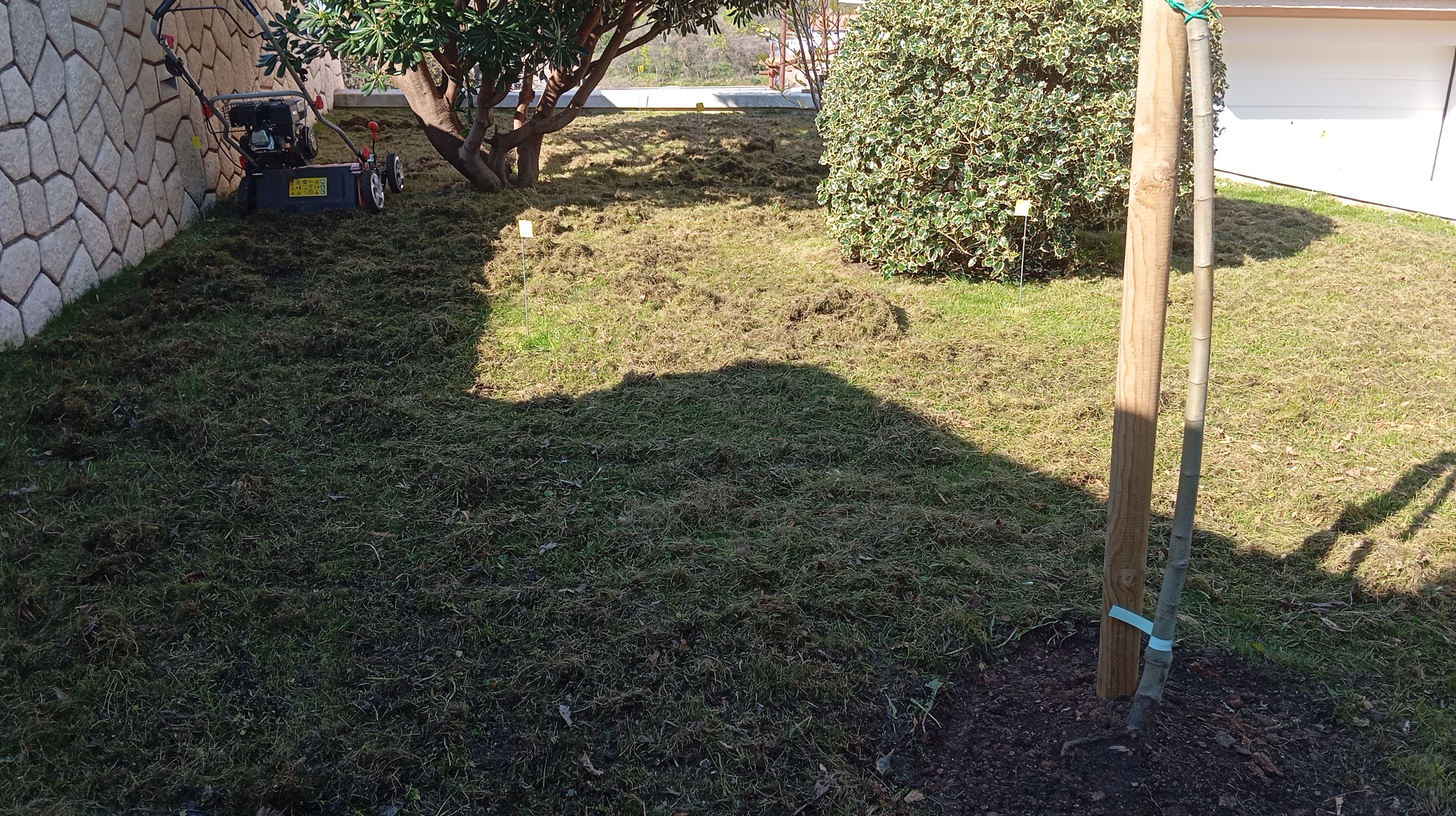 Dvorište tijekom procesa košnje