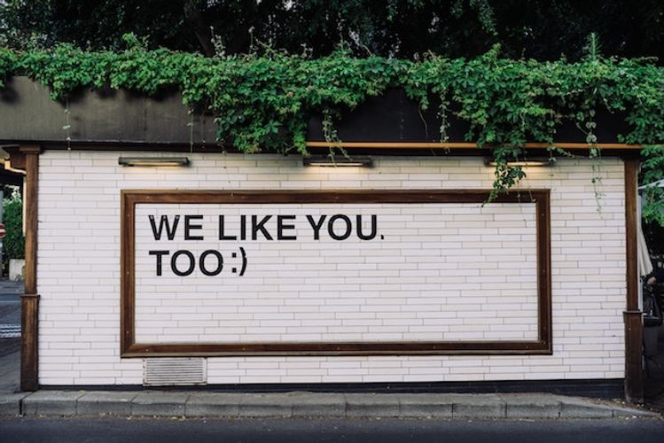 Say It Like You Mean It