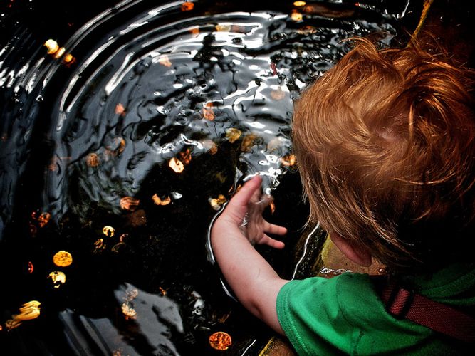 Company Culture And The Ripple Effect