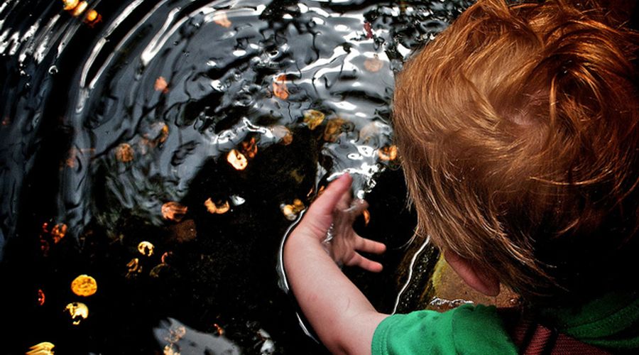 Company Culture And The Ripple Effect