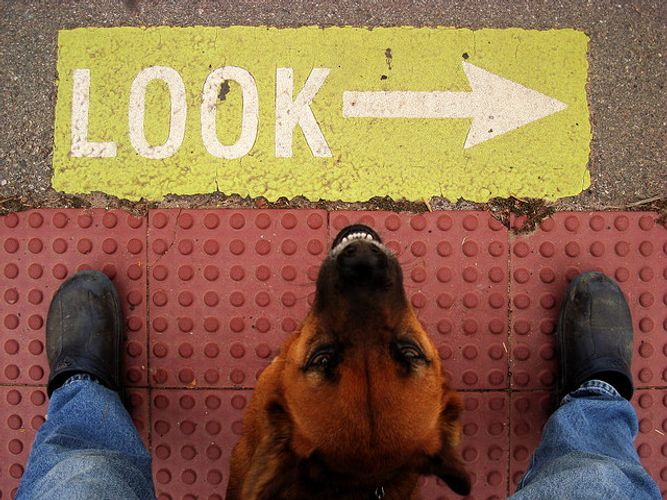 The Number One Marketing Opportunity You’ve Probably Overlooked