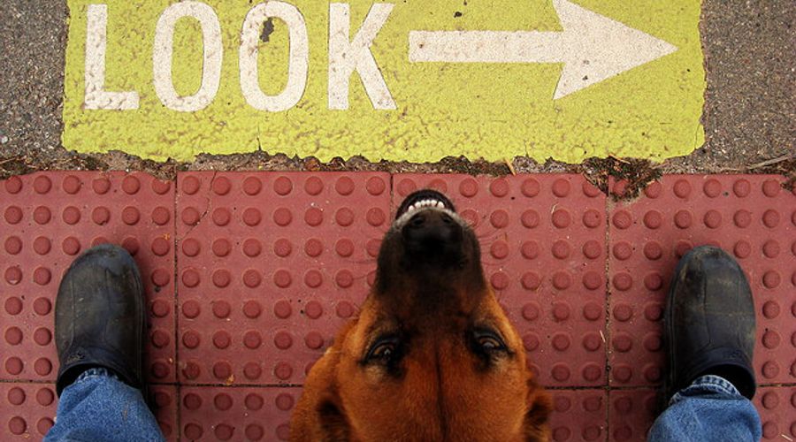 The Number One Marketing Opportunity You’ve Probably Overlooked