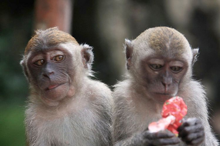 Why You’re Stuck And The Perils Of Peer Gazing
