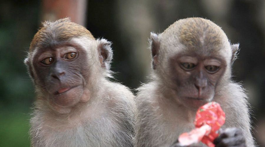 Why You’re Stuck And The Perils Of Peer Gazing