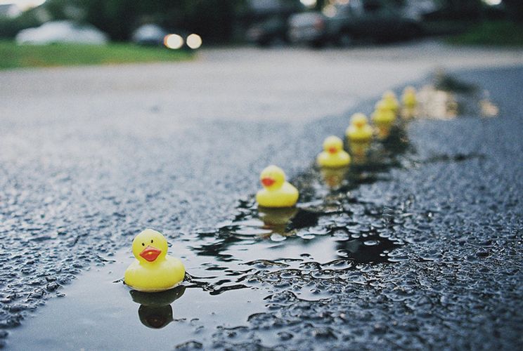 Aligning Your Ducks