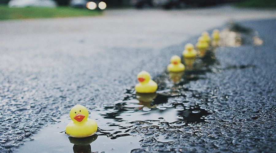 Aligning Your Ducks
