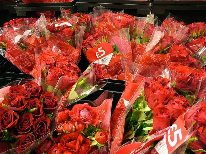 Petrol Station Flowers