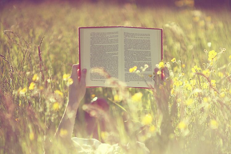 21 Ways To Nurture Your Ideas