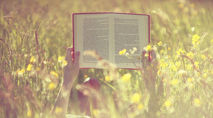 21 Ways To Nurture Your Ideas