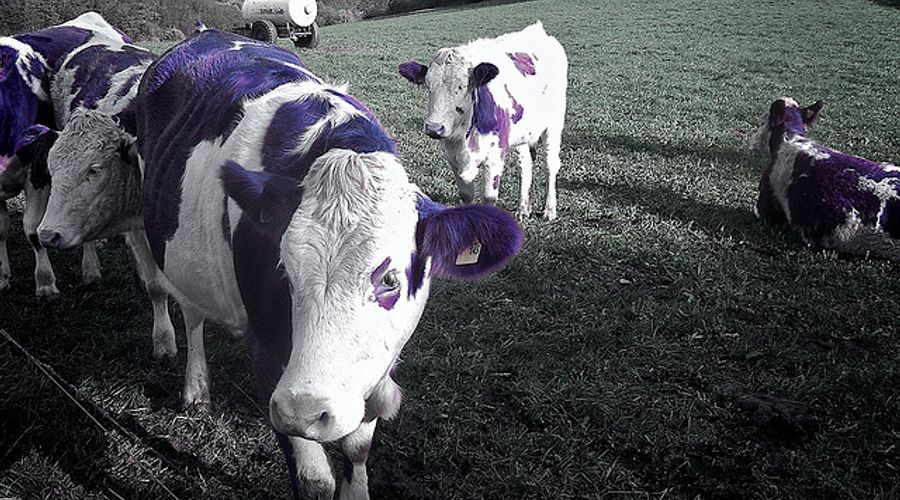 20 Posts From Seth Godin You Probably Missed