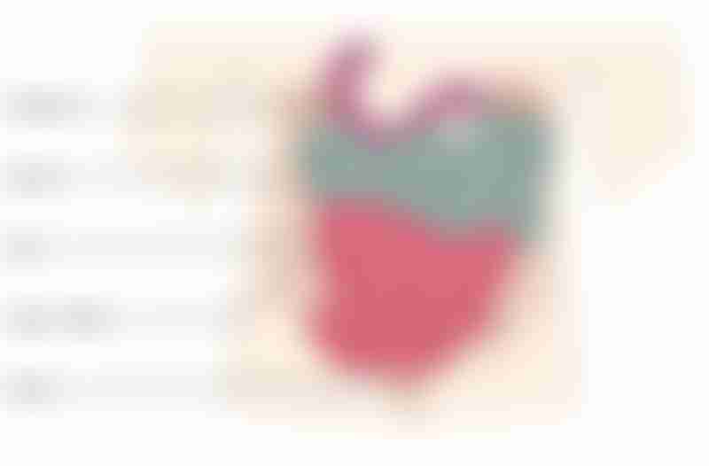 Three Regions of the Small Intestine
