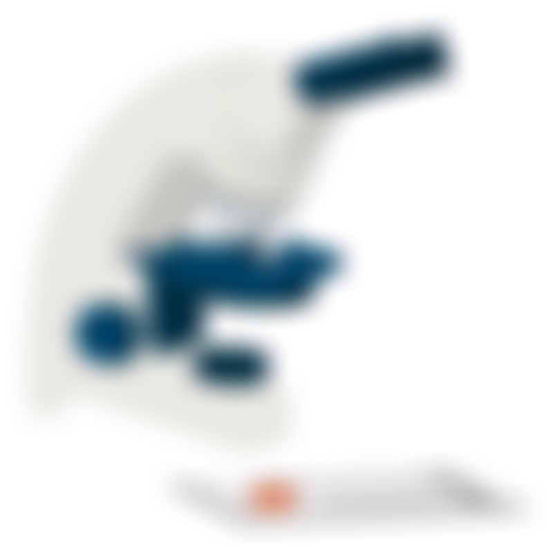 Symptoms Biopsy 2