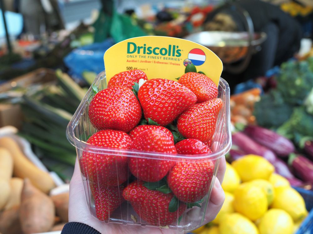 Driscoll's Strawberries Under Scrutiny Over Alleged Cancer Risks