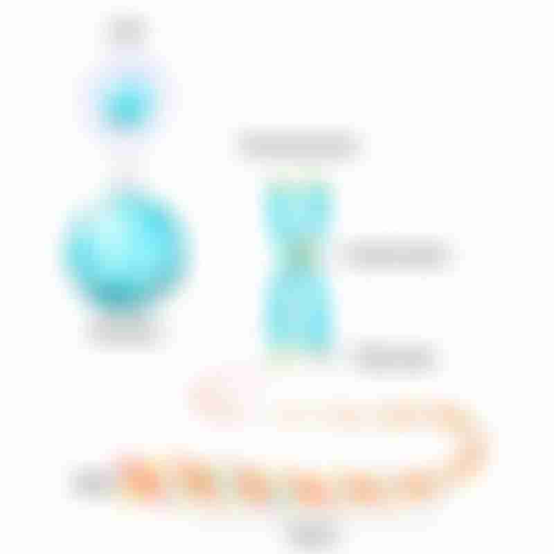 What Are DNA Genes and Chromosomes