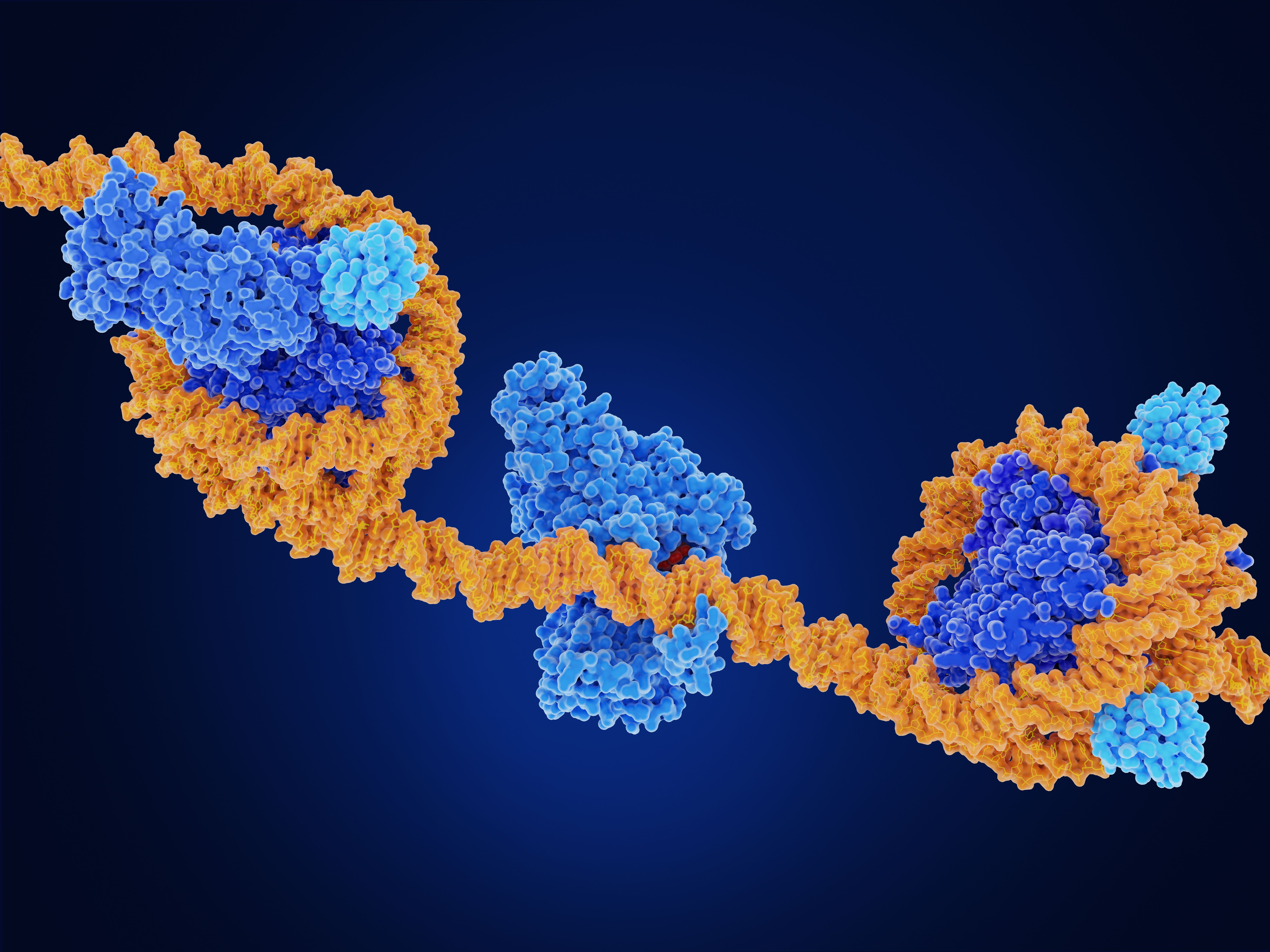 What is Epigenetics?
