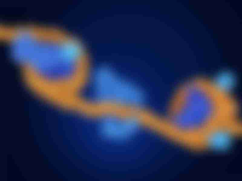 Epigenetic Modification