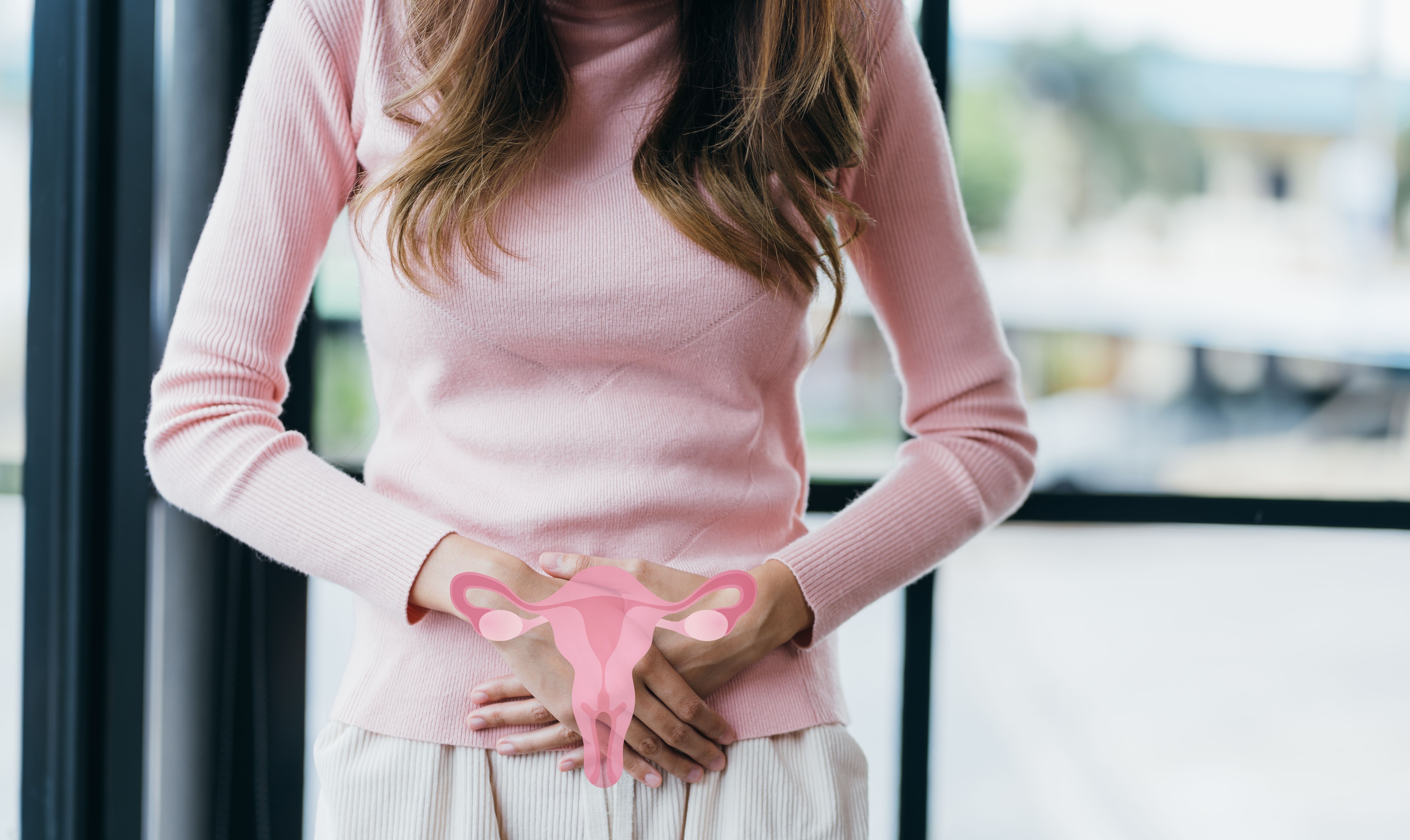 Woman hands touching virtual uterus