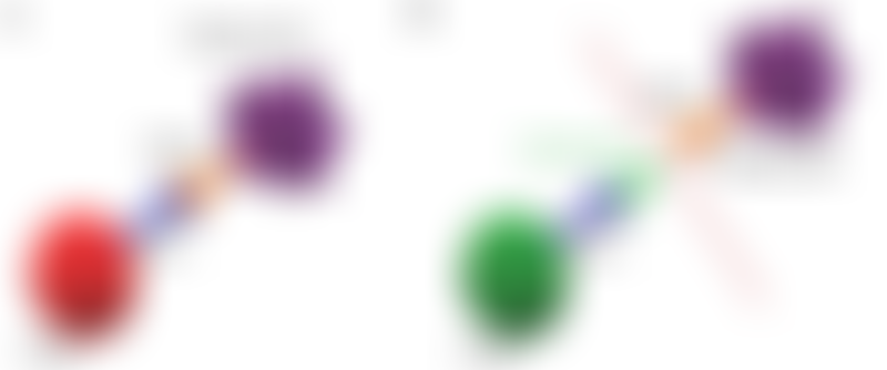 Immunotherapy for Gastric Cancer