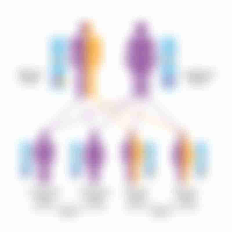 Autosomal Dominant Inheritance Breast Cancer
