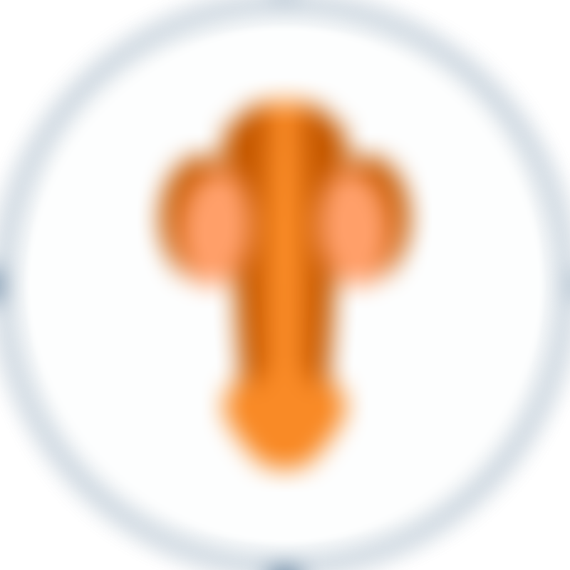 Prostate Cancer Erectile Dysfunction