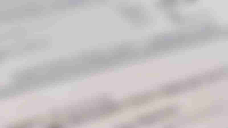 Histopathology Report