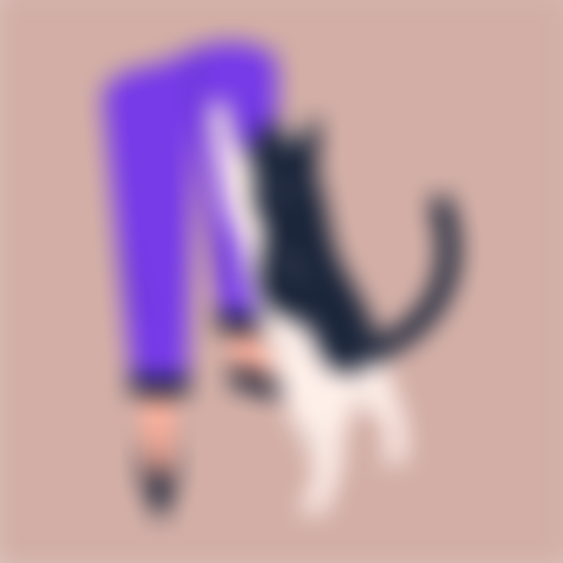 Symptoms Cat Sniffing 1