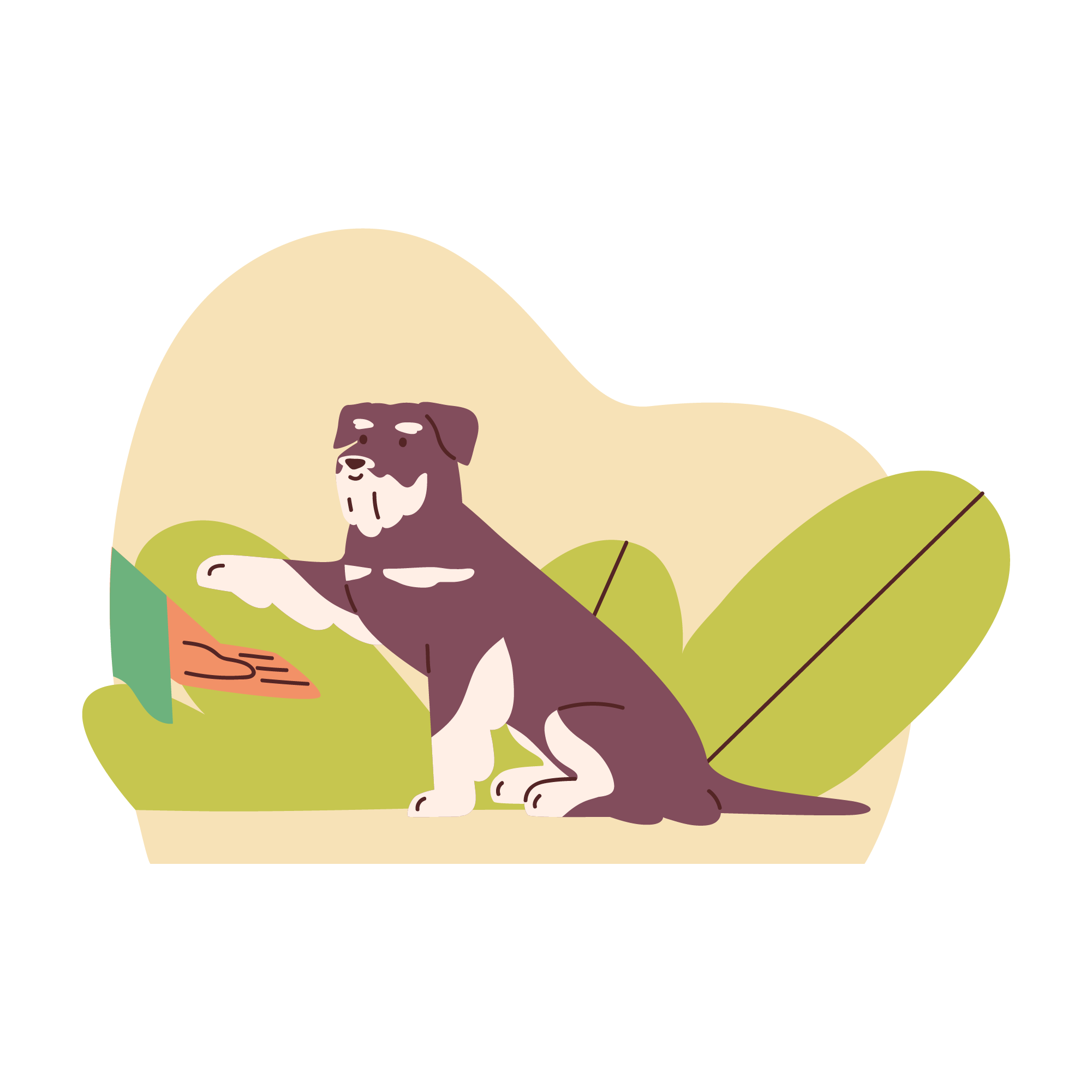 Aspiration Dog 1