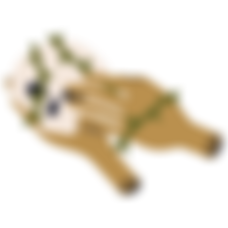 Biggest Fear Death