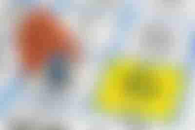 Understanding The Radon Action Level in US