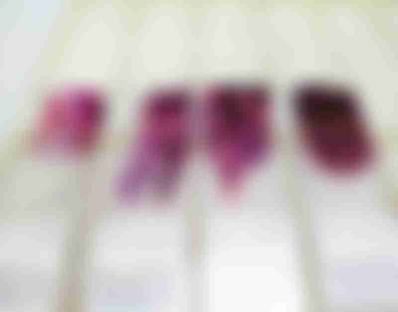 Stained Histology Slides
