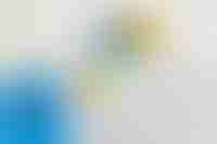 Prostate Cancer Treatments