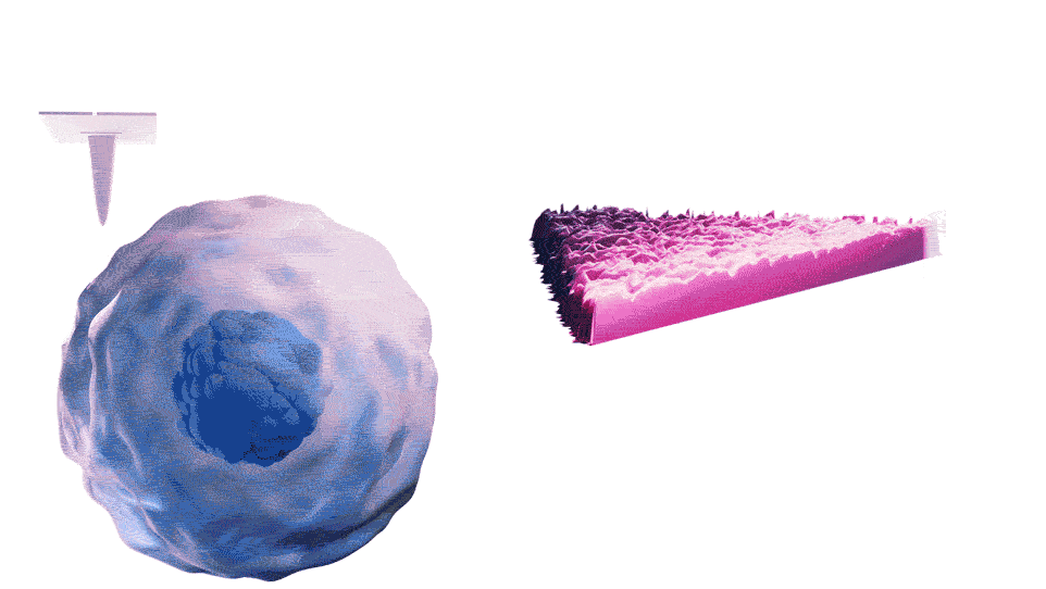 Non-Invasive Cancer Detection