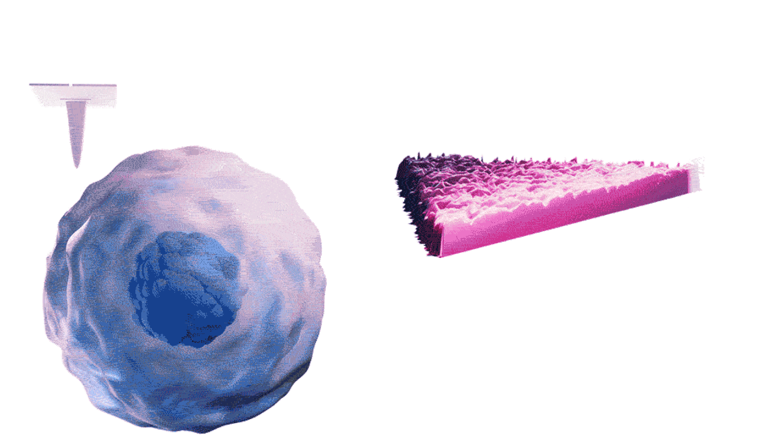 Non-Invasive Cancer Detection