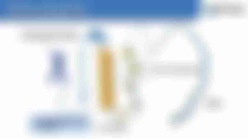 DNA Organization