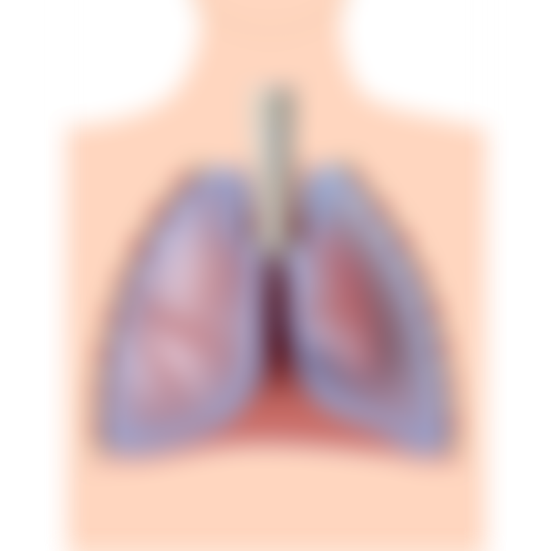Symptoms Collapsed Lung
